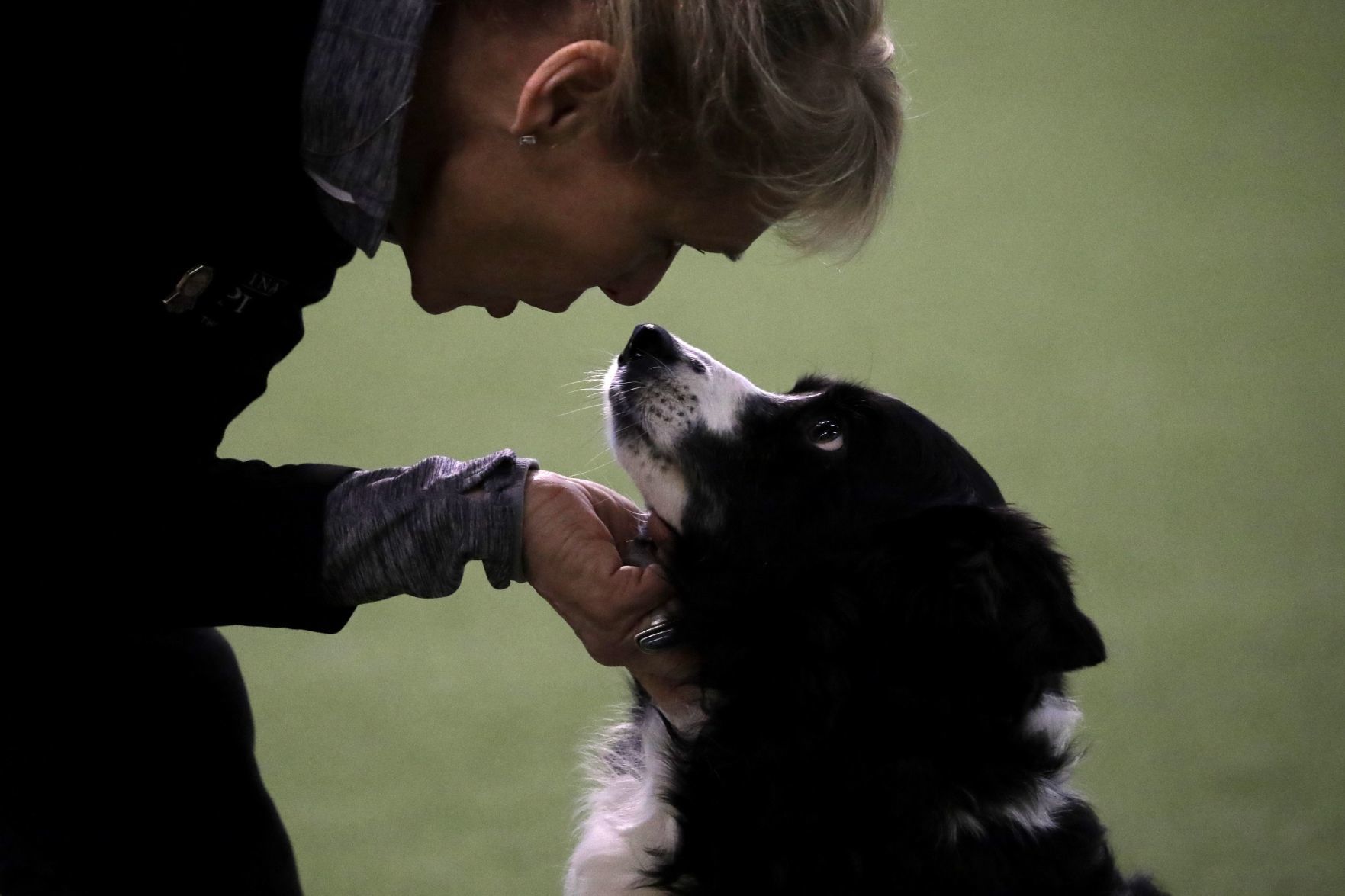 Westminster Dog Show